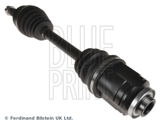 ADA1089503 BLUE PRINT